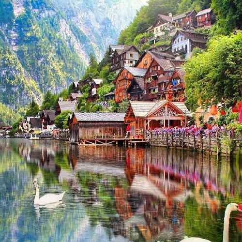 علی برزنونی رفیق نیمه راهم کاشکی نرفته بودی تو این همه شلوغی